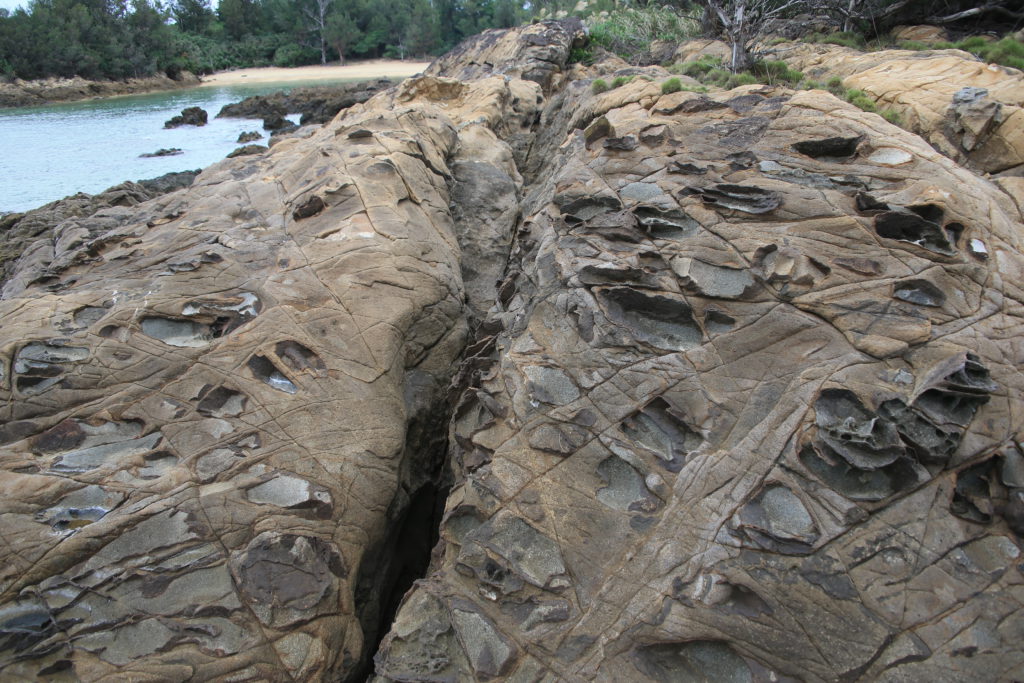 伊是名酒造　岩礁の群れ